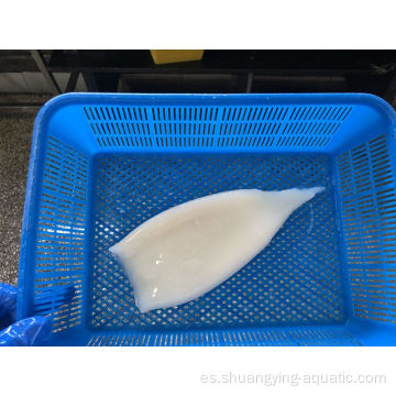 Frozen IQF TODARODES TUBO SQUID U8 U10 Price